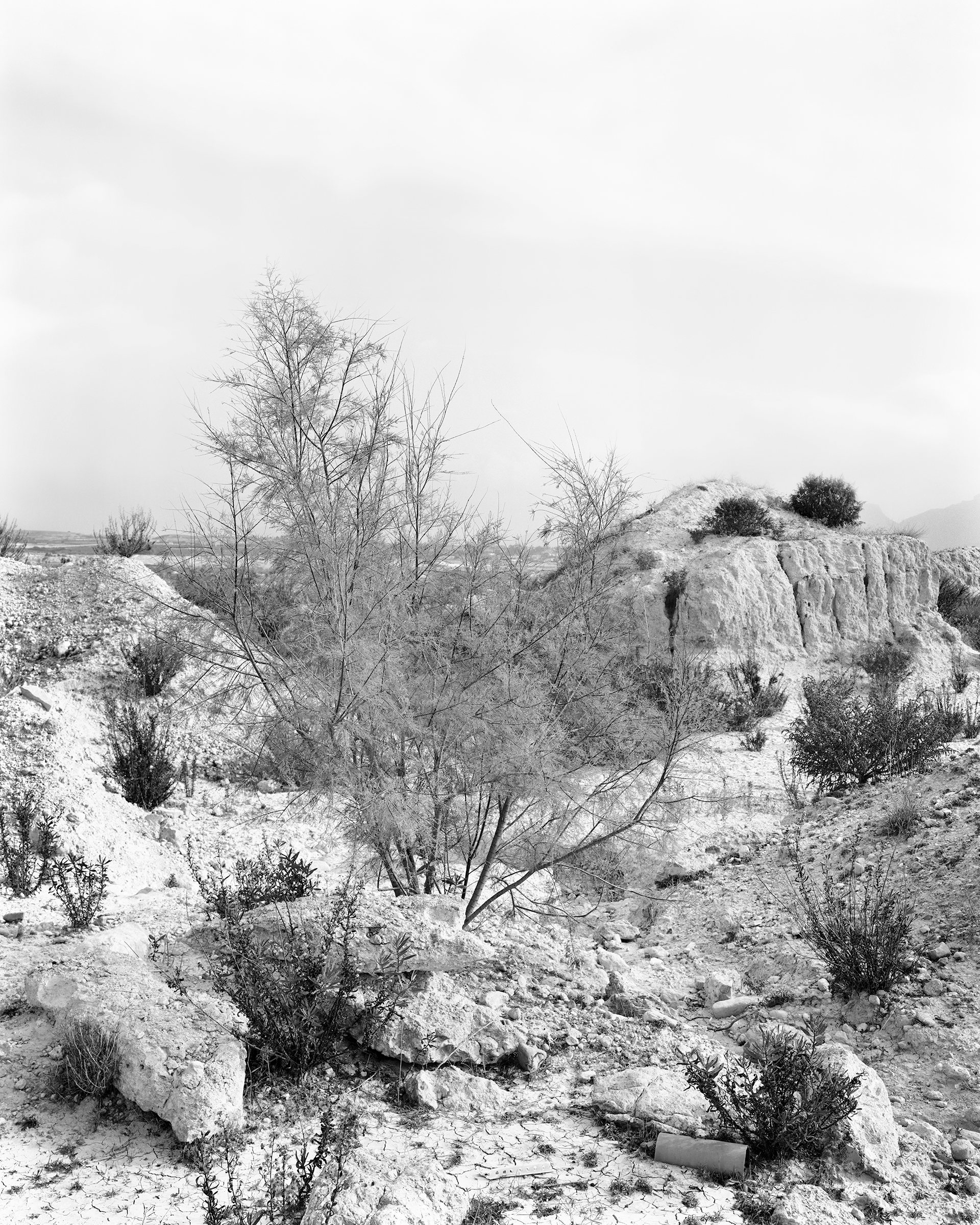 Fortuna, image 3