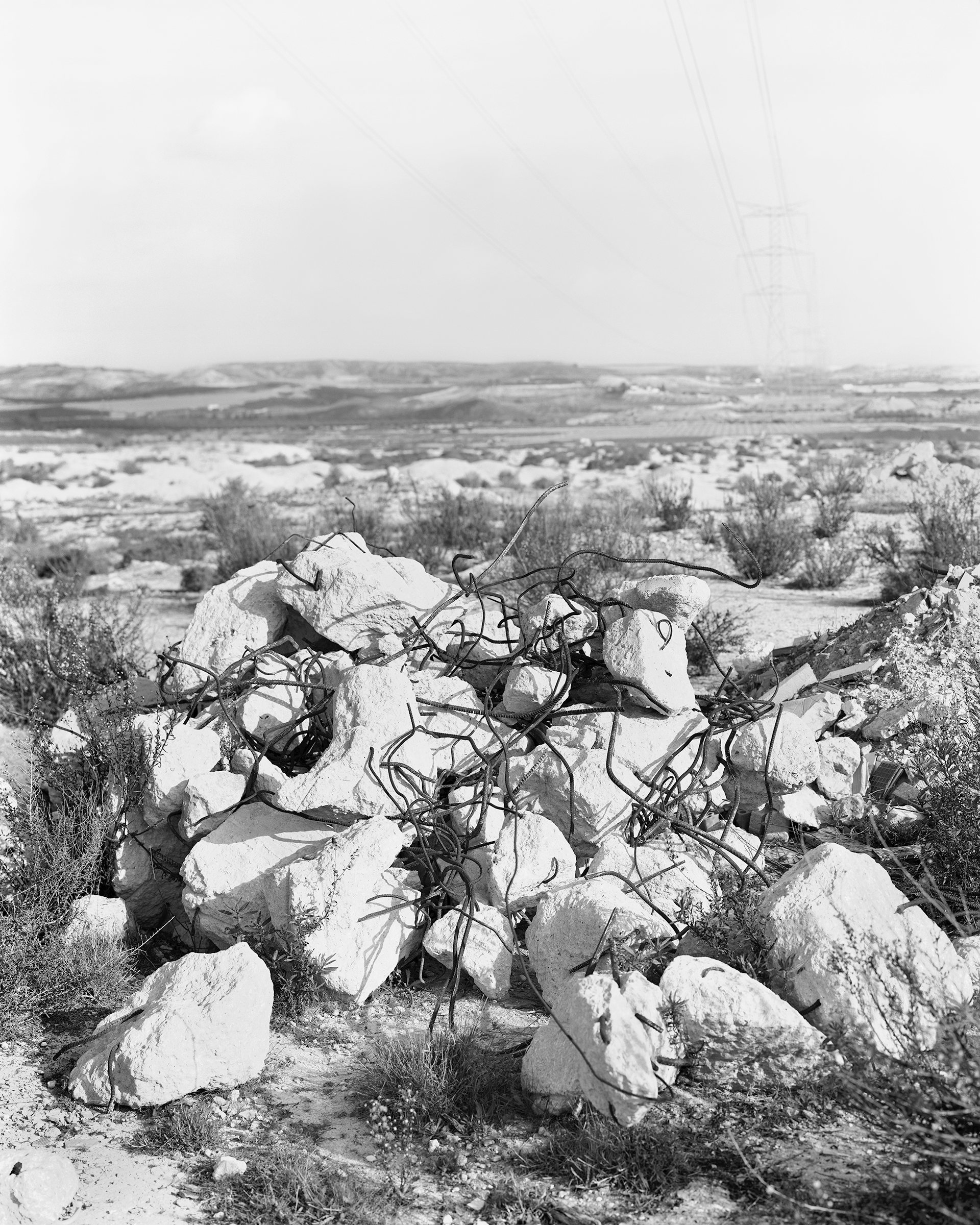Fortuna, image 6