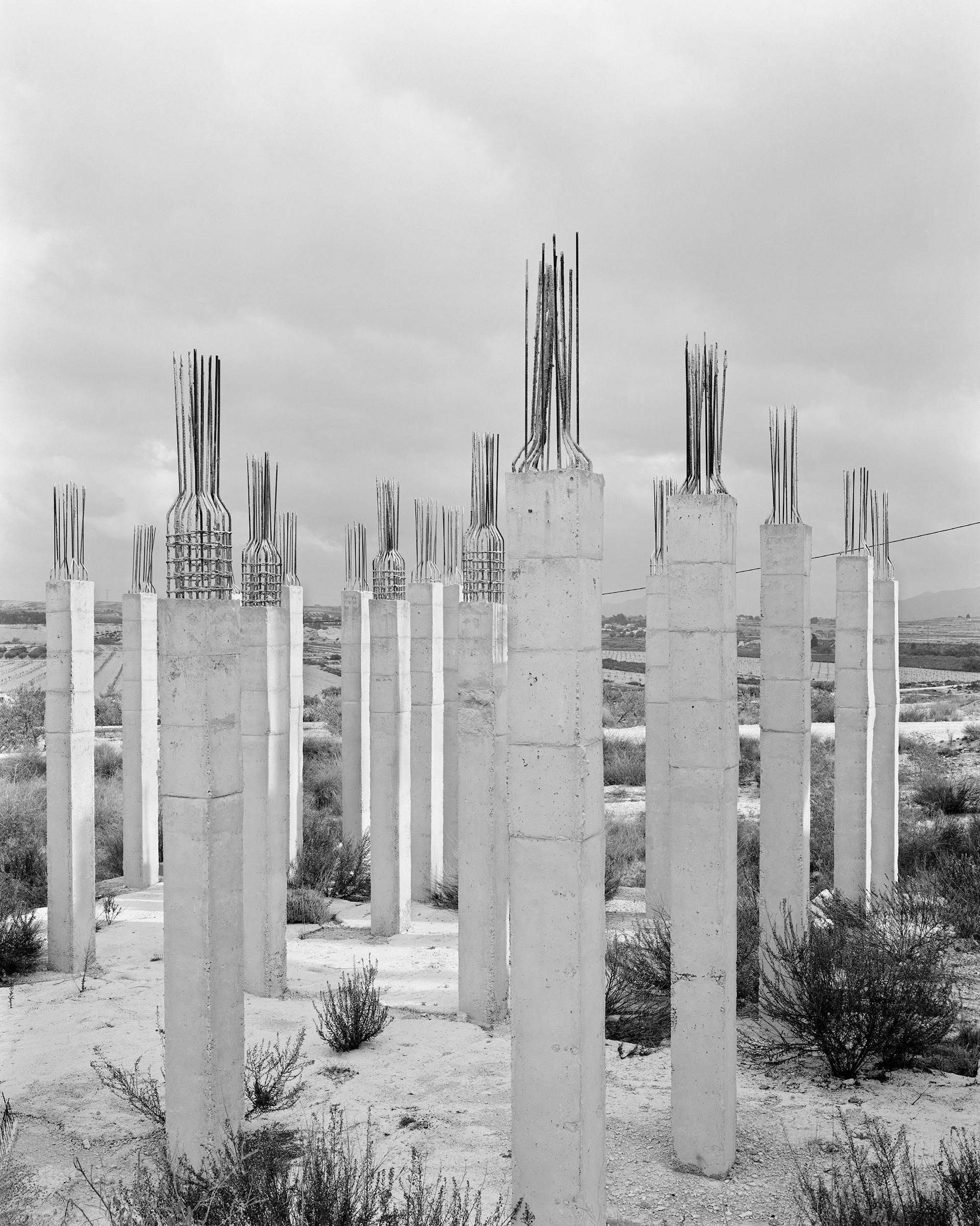Fortuna, image 8