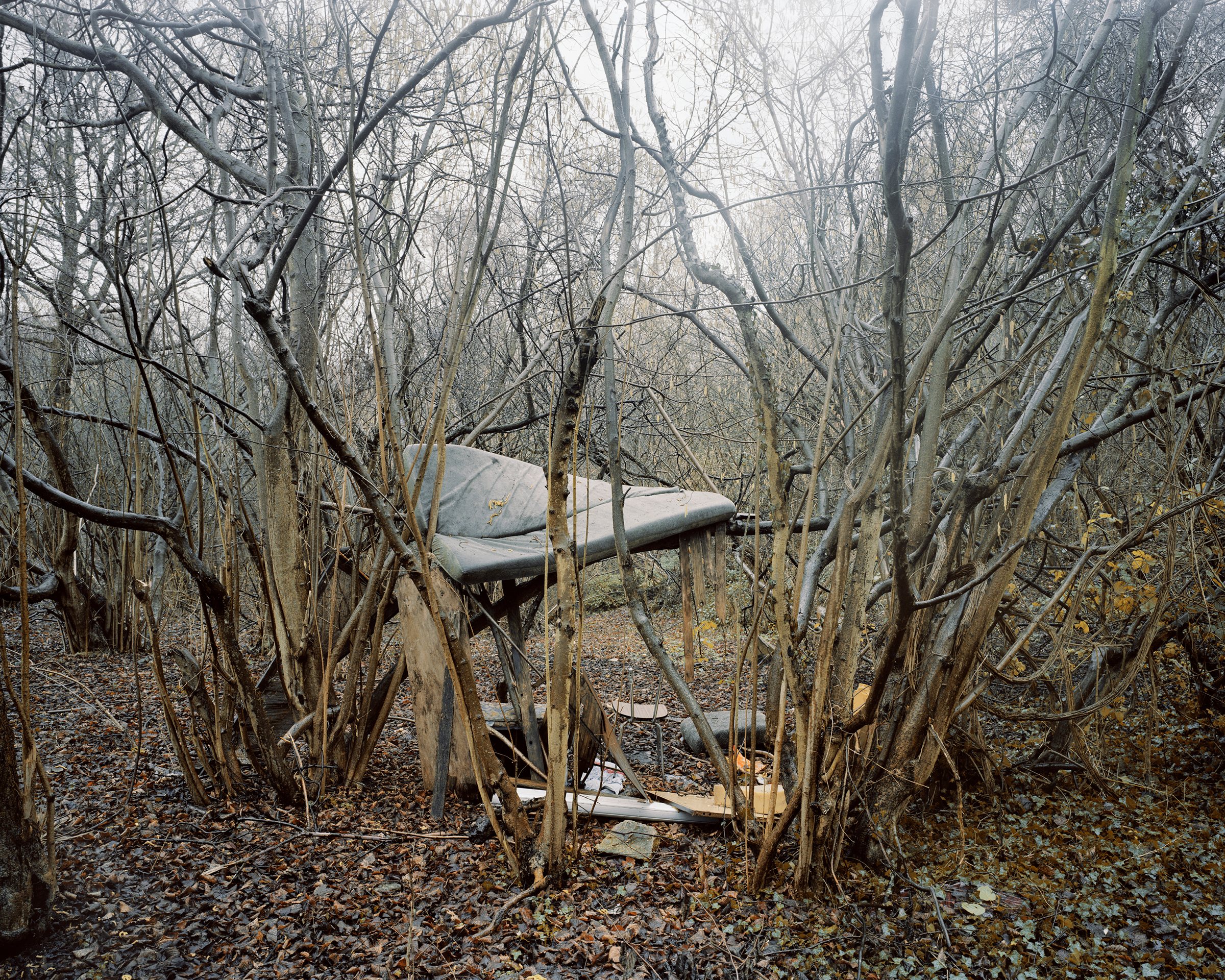 Holzwege — Creil, France, 2008