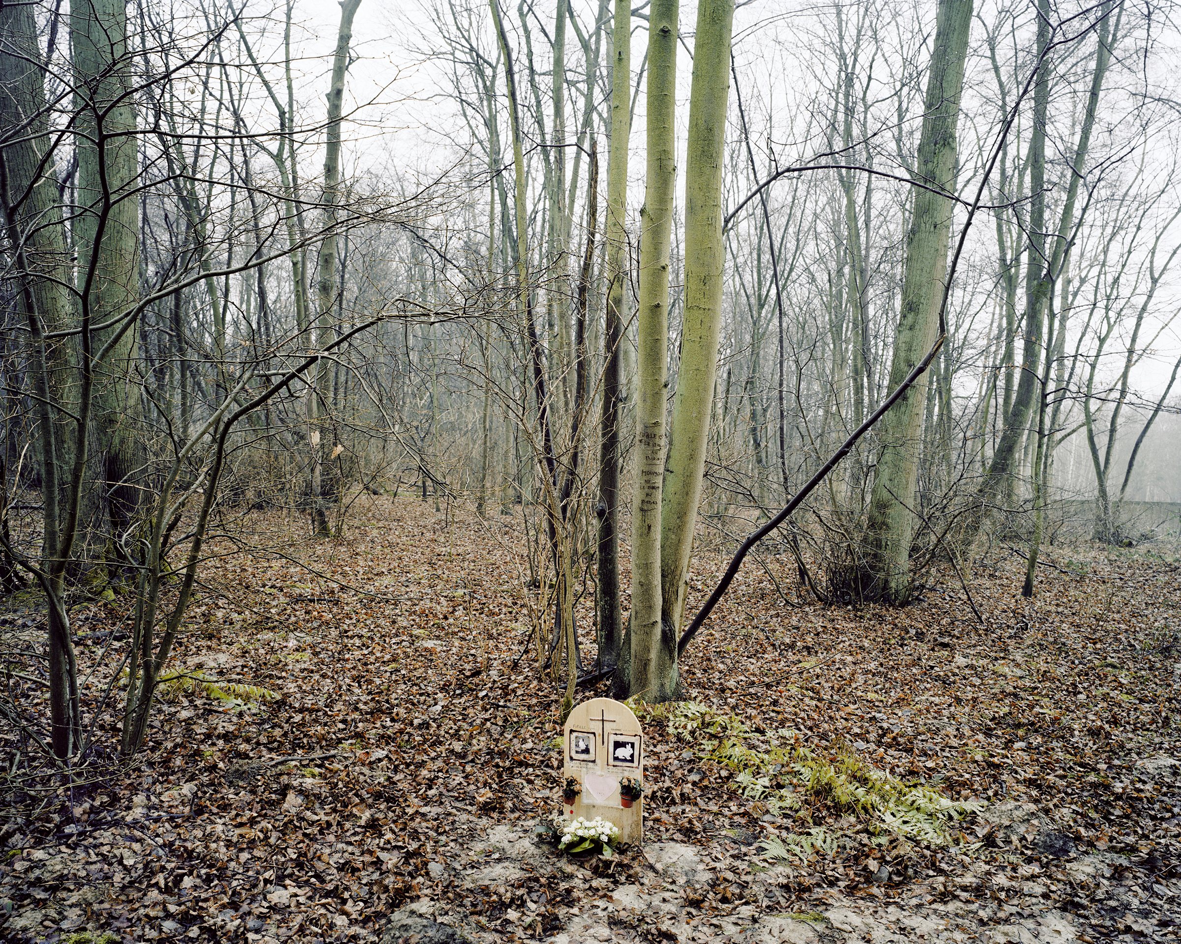 Holzwege — Creil, France, 2008