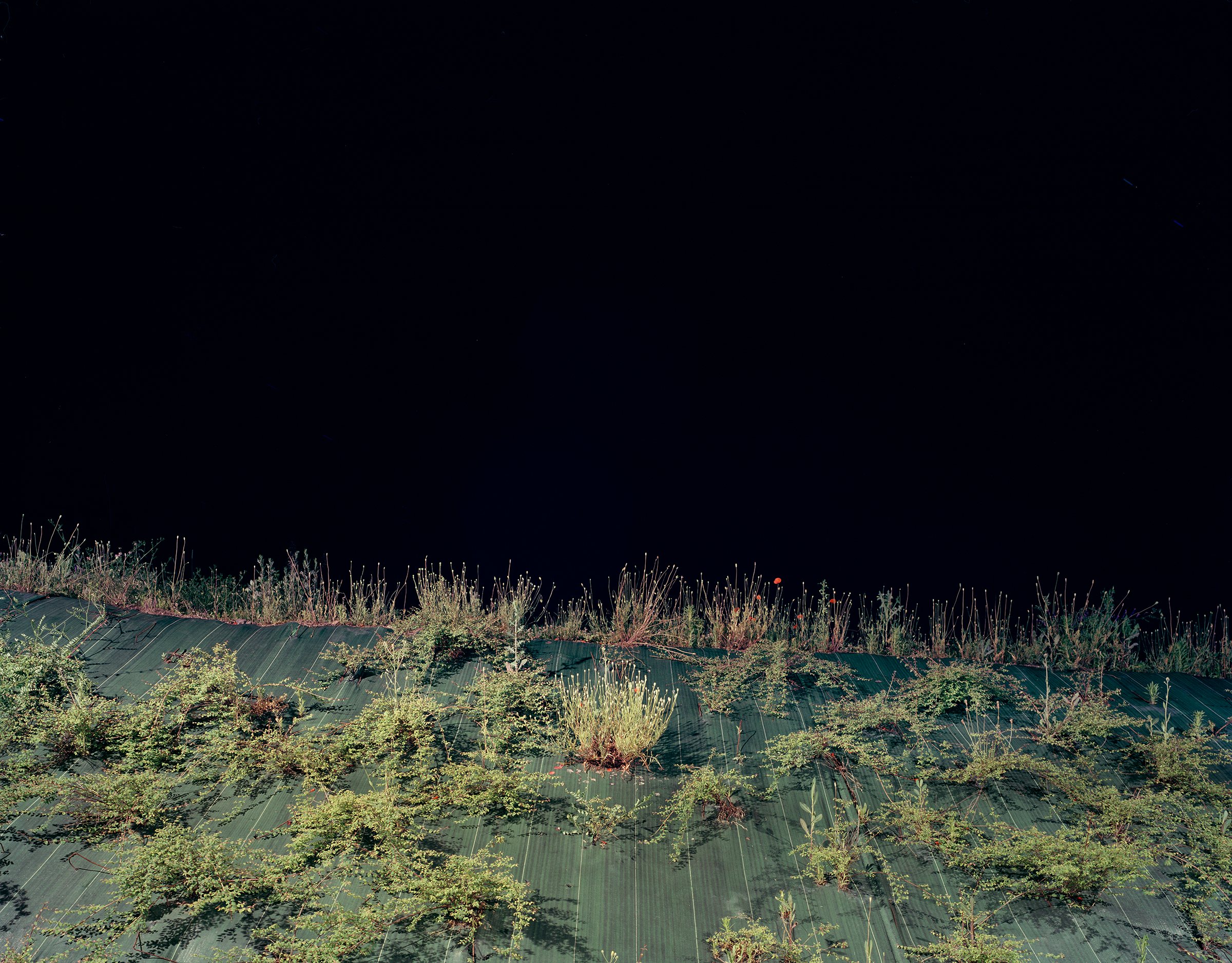 Nocturnes — Nocturnes, Clermont-Ferrand, 2008