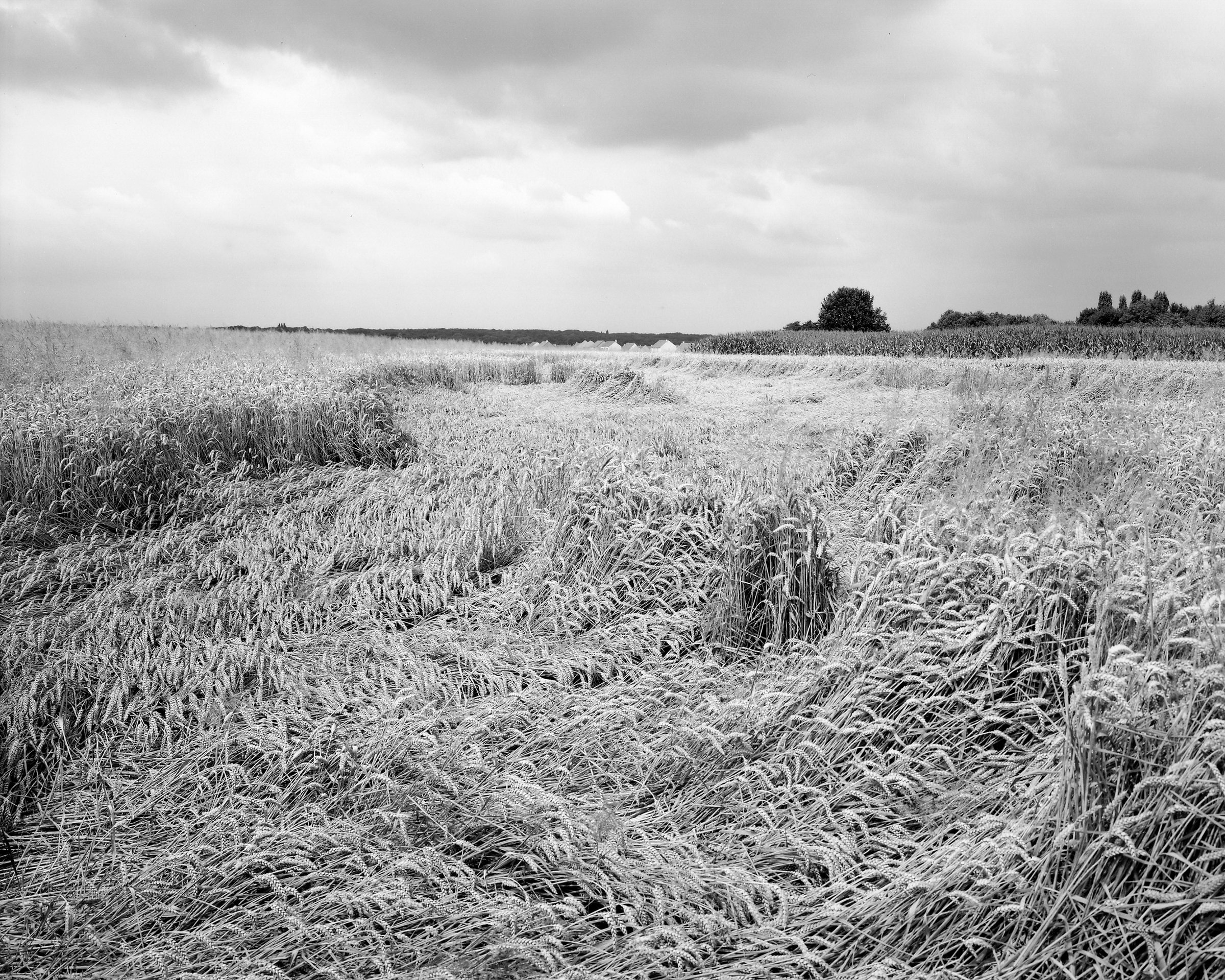 Aux Portes du Royaume — Future construction site, Montevrain, France, 1999