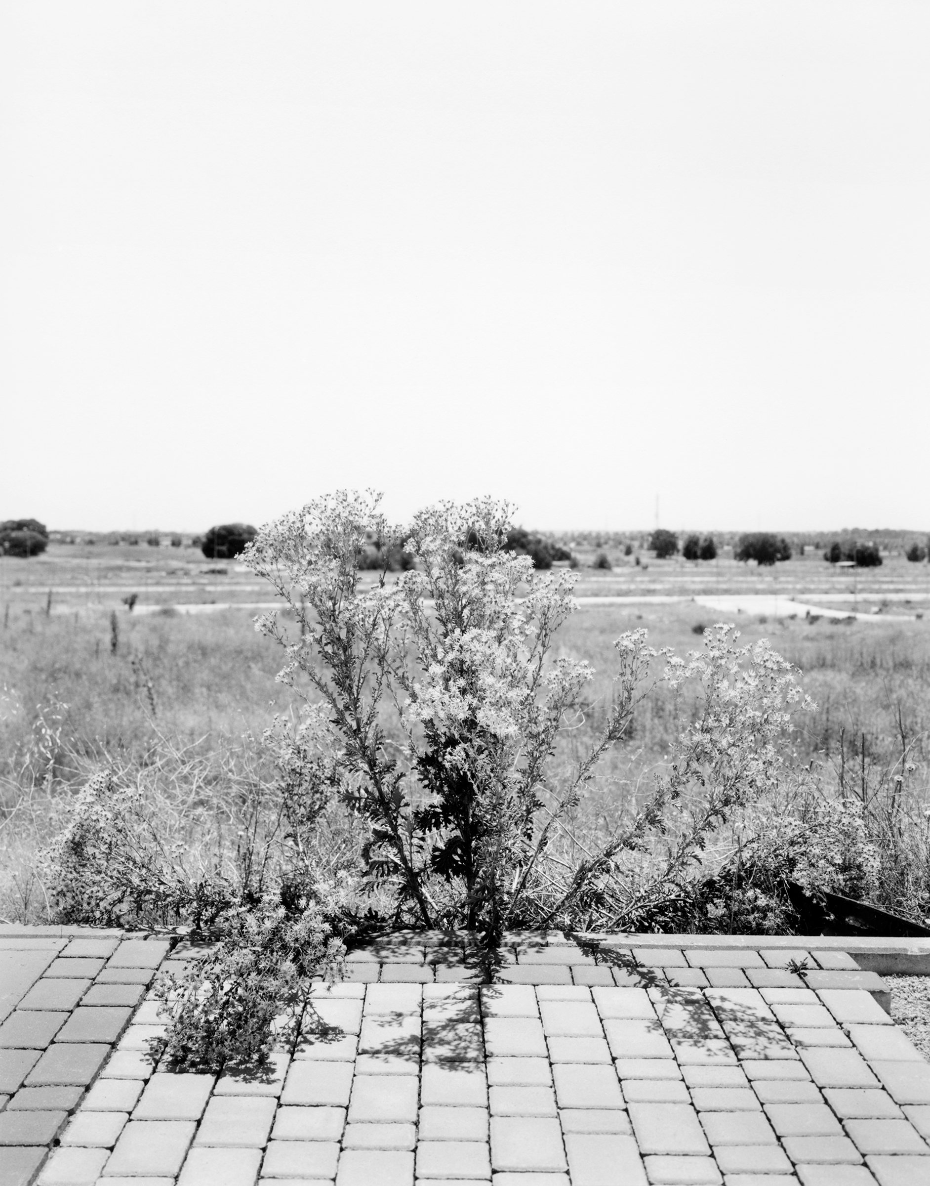 Villaflores, image 3