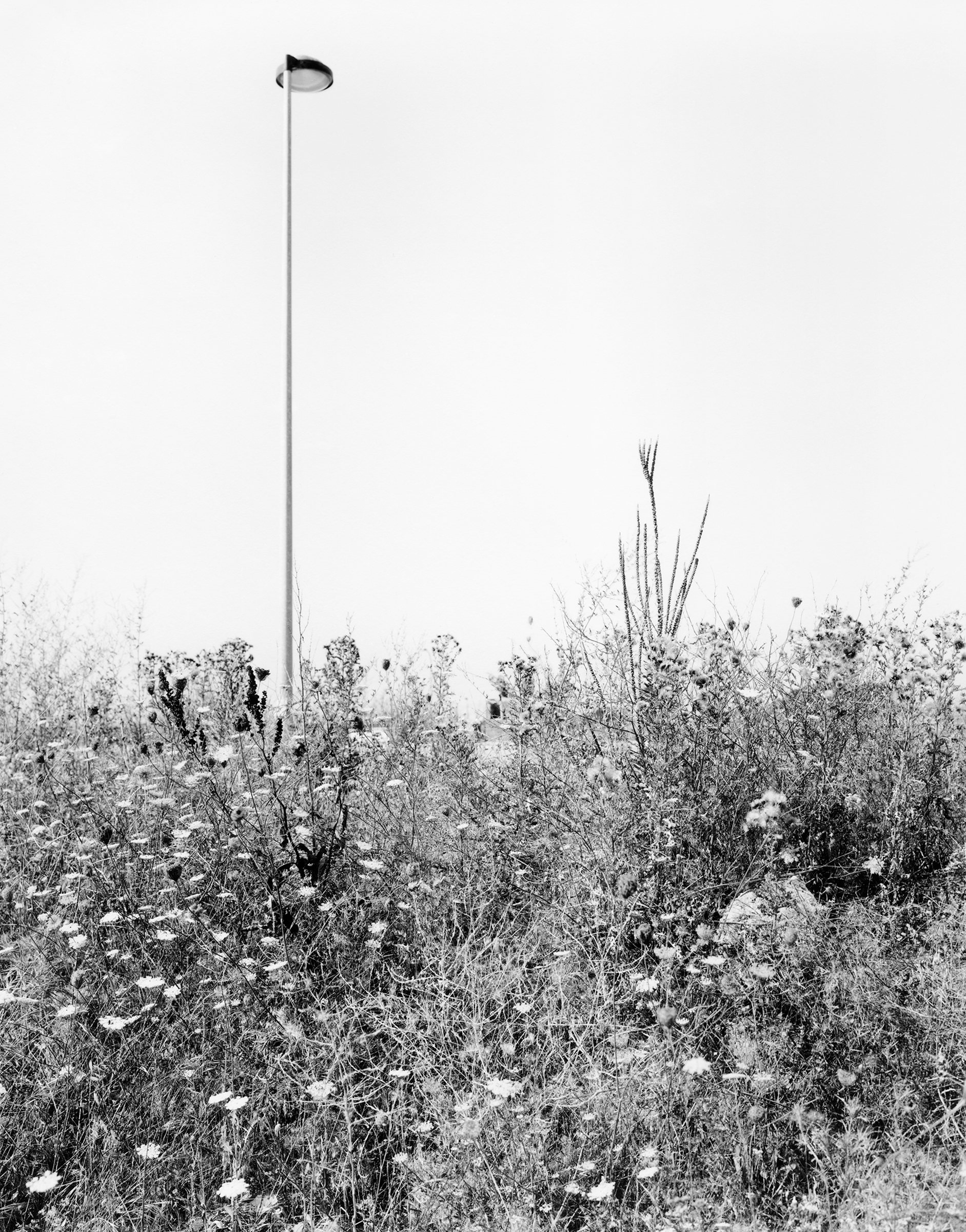 Villaflores, image 5