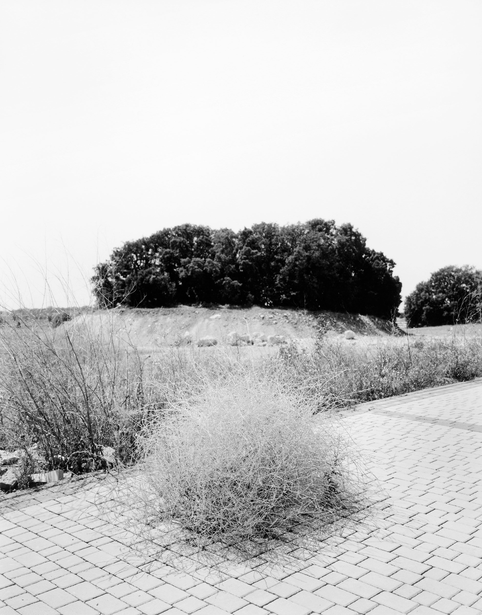Villaflores, image 6